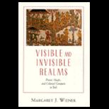 Visible and Invisible Realms : Power, Magic, and Colonial Conquest in Bali