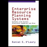 Enterprise Resource Planning Systems : Systems, Life Cycle, Electronic Commerce, and Risk