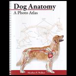 Dog Anatomy: Photo Atlas