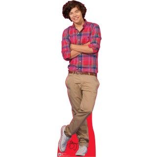 One Direction Harry Standup