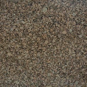 Stonemark Granite 3 in. Granite Countertop Sample in Giallo Fiorito DT G378