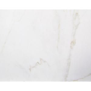 U.S. Ceramic Tile Carrara Blanco 16 in. x 16 in. Ceramic Floor and Wall Tile (14.22 sq. ft. per case) UFCB100 16