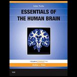 Essentials of Human Brain