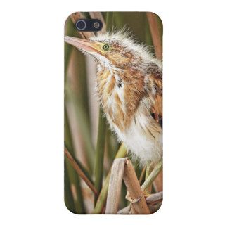 Least Bittern Chick 2 Covers For iPhone 5