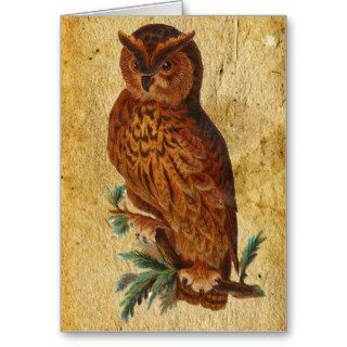 Funny Vintage Owl Birthday Card