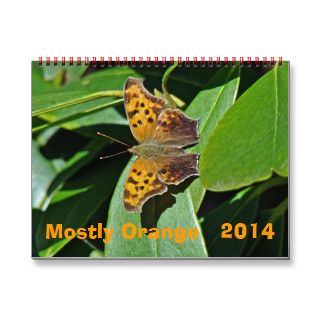 2014 Calendar Mostly Orange