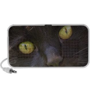 Lucky black cat notebook speaker