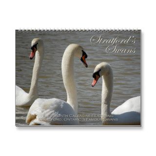 Stratford Swans Calendar