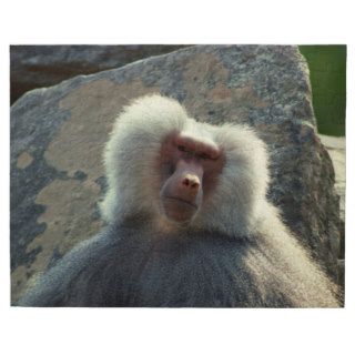 Funny Baboon Puzzle