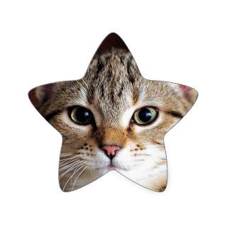 Cute Tabby Cat Kitten Stickers