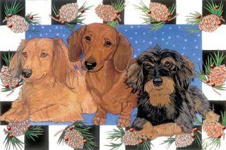Dachshund Christmas Cards Pinecones : 10 Holiday Cards with Red Envelopes   ADORABLE! : Greeting Cards : Office Products