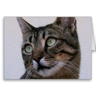 Tabby Cat Sitting In The Shade Behind Passiflora V Greeting Cards
