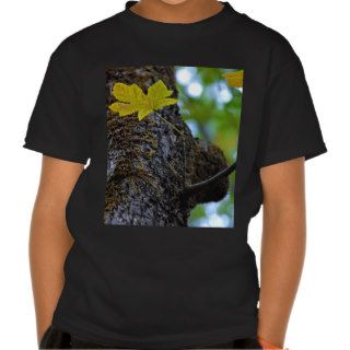 Oak Tree Tee Shirts