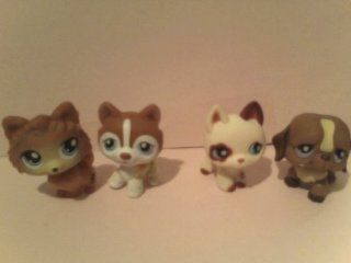 Littlest Pet Shop Puppy Dog Figures, Pomeranian, Husky, Terrier, Loose Out of Package Replacement Figures, Offer Is for One of the Four Shown, Please Match to Individual Listing to Select Available Figures : Other Products : Everything Else