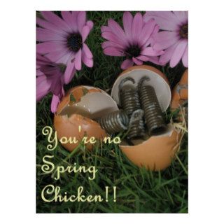 You're no spring chicken. birthday poster / banner