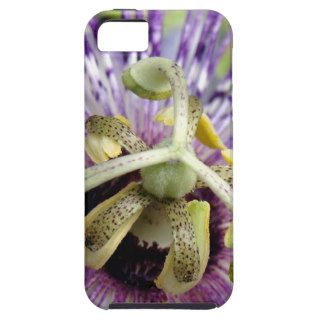 Purple Passion Flower Close Up iPhone 5 Cases