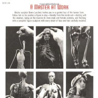 Modeling the Figure in Clay, 30th Anniversary Edition: A Sculptor's Guide to Anatomy: Bruno Lucchesi, Margit Malmstrom: 9780823030965: Books