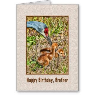 Brother's Birthday Card with Sandhill Crane Family