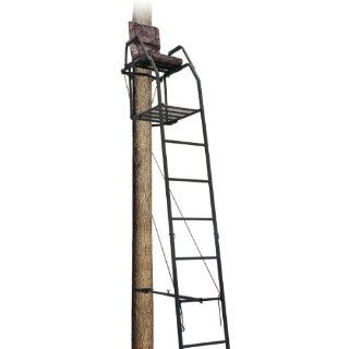 Big Dog BDL 302 16' Ladder Stand: Sports & Outdoors