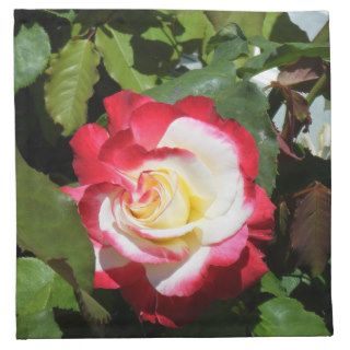 A rose is not just another rose on Balboa Island. Cloth Napkin