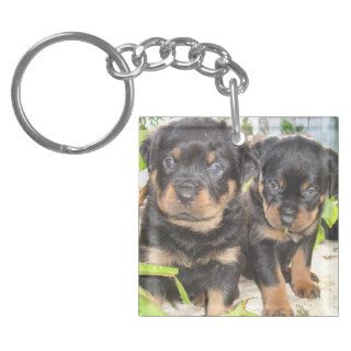 Two Mischievious Rottweiler Puppies Key Chains
