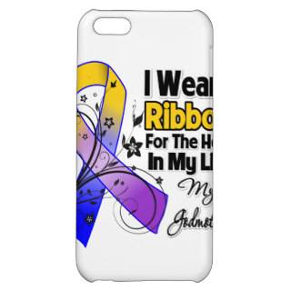 Godmother Hero in My Life Bladder Cancer Cover For iPhone 5C