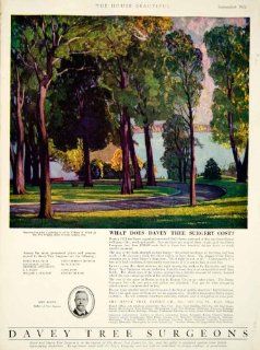 1922 Ad Davey Tree Surgeons 409 Elm Street Kent Ohio Expert John Hopkins Mayo   Original Print Ad  