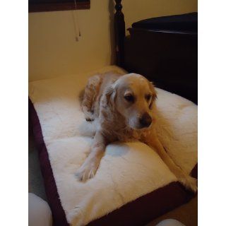 Armarkat Brown Pet Bed, 39 Inch by 28 Inch by 5 Inch : Dog Bed Large : Pet Supplies