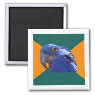 Paranoid Parrot Bird Advice Animal Meme Fridge Magnets