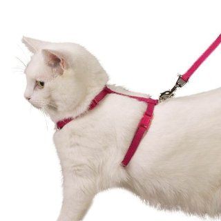 Savvy Tabby Nylon Cat Harness, 3/8 Inch, Raspberry Sorbet : Pet Harnesses : Pet Supplies