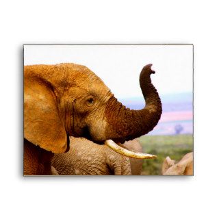 elephant trunk Envelope