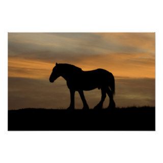 Horse Silhouette Print
