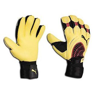 PUMA v3.10 Goalkeeper Glove : Soccer Goalie Gloves : Sports & Outdoors