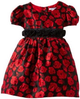 Hartstrings Girls 2 6X Toddler Rose Pattern Charmeuese Dress Special Occasion Dresses Clothing