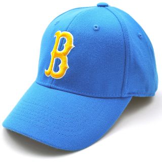 Top of the World Premium Collection UCLA Bruins One Fit Hat   Size: 1 fit Hat,