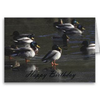 Happy Birthday for him Greeting Cards