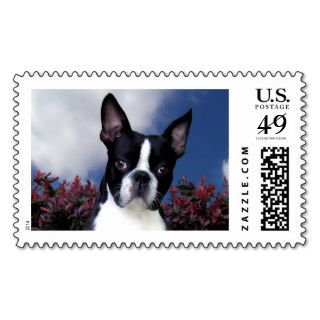 Boy Next Door Postage Stamps