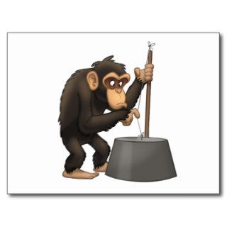 Washtub Bass Playin’ Chimp Postcard