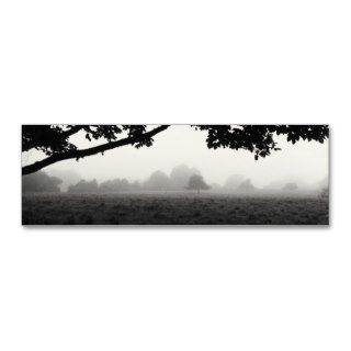 Morning Fog Emerging Trees Business Card Template