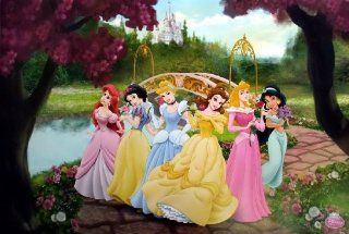WM 574 Disney Princess Collection Kid Girl Cartoon Wall Decoration Movie Poster Size 35"x23.5": Sports & Outdoors