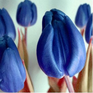 Blue Tulips Photo Sculpture