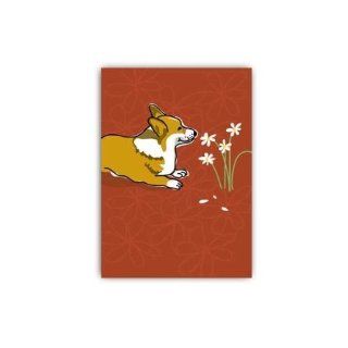 Grrreen Greeting Card, 4.5x6.5"   Corgi and Daisies (B Day) (PAPRG670)  : Pet Supplies