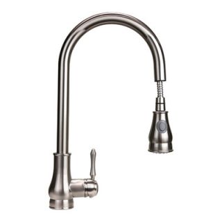 Dyconn Faucet Coral Single Handle Pull Out Kitchen Faucet with Soap
