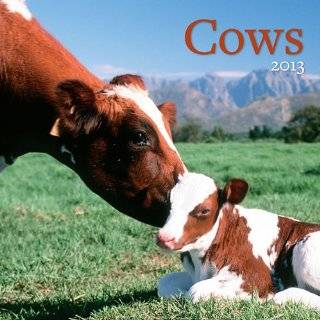 Perfect Timing Avalanche 2013 Cows Wall Calendar (7001528) : Personal Organizers : Office Products