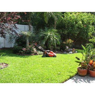 Black & Decker SPCM1936 19 Inch 36 Volt Cordless Electric Self Propelled Lawn Mower With Removable Battery : Walk Behind Lawn Mowers : Patio, Lawn & Garden
