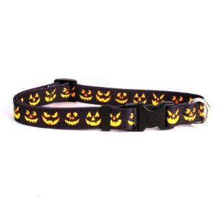 Yellow Dog Design Cat Collar, Jack O' Lantern : Pet Collars : Pet Supplies