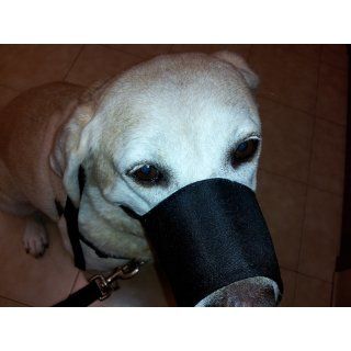 Quick Fit Dog Muzzle, Size 1 : Pet Muzzles : Pet Supplies