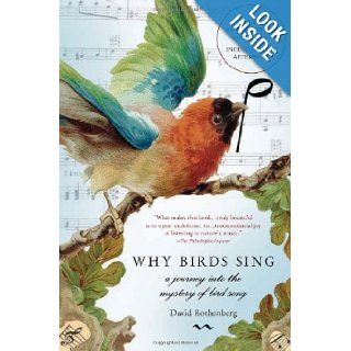 Why Birds Sing A Journey Into the Mystery of Birdsong David Rothenberg 9780465071364 Books