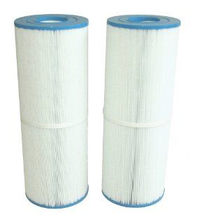Waterway 817 5000 50 Square Foot Weir Spa Filter Cartridge, 2 Pack: Home Improvement
