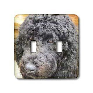 3dRose lsp_21180_2 American Poodle Double Toggle Switch   Switch Plates  